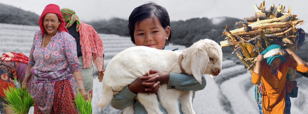 The Strength of Nepalese Agriculture and Farm Workers for Global Recruitment