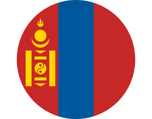 mongolia flag
