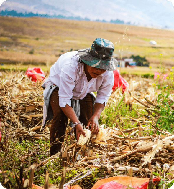 Agricultural Recruitment Agency